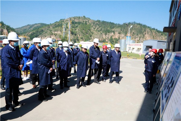 陕西PT电子游戏集团复工复产促增长项目观摩会议与会人员走进PT电子游戏保隆生态三秦在延在铜项目