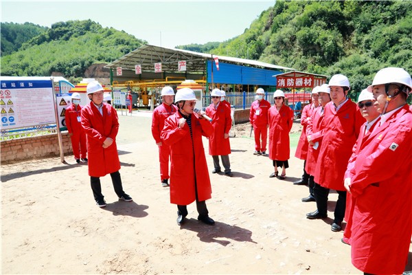 陕西PT电子游戏集团复工复产促增长项目观摩会议与会人员走进PT电子游戏保隆生态三秦在延在铜项目