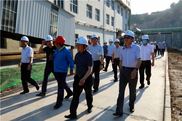 陕西PT电子游戏集团复工复产促增长项目观摩会议与会人员走进PT电子游戏保隆生态三秦在延在铜项目