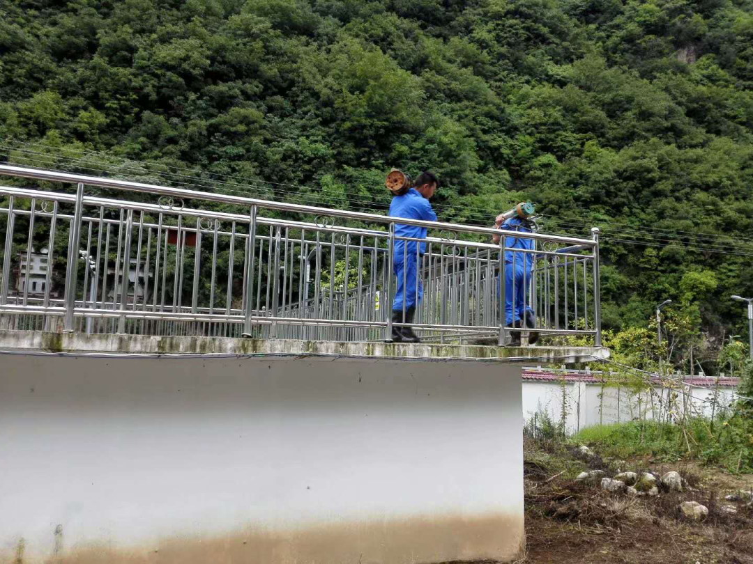 这个端午节，水环境人这么过（二）