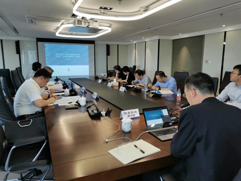 陕西PT电子游戏集团召开“十四五”发展规划专家评审座谈会