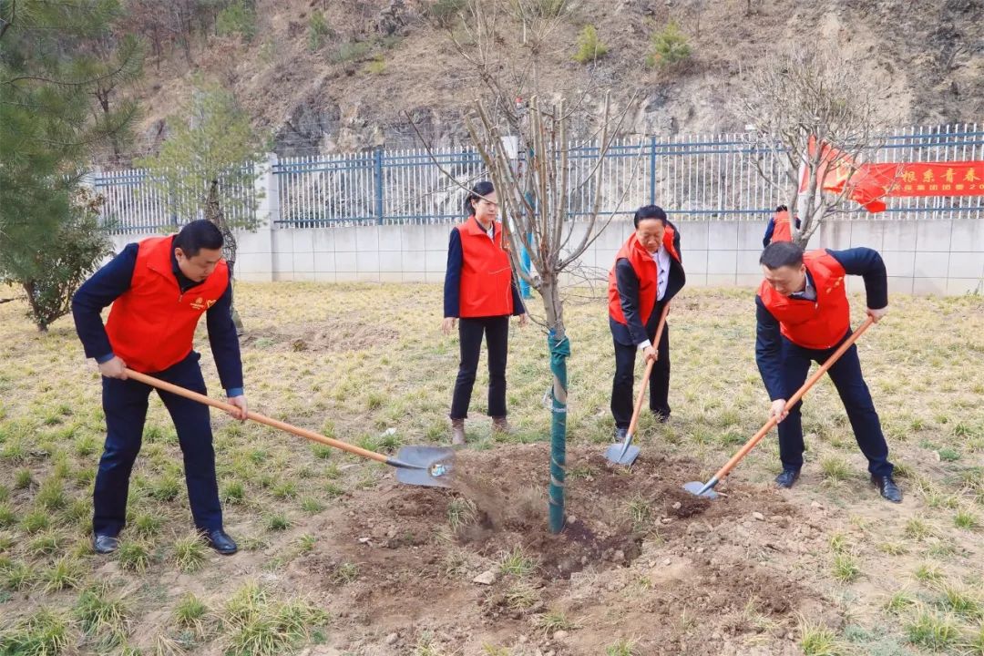 根系青春·植此青绿｜陕西PT电子游戏集团团委发展使命植树自愿活动